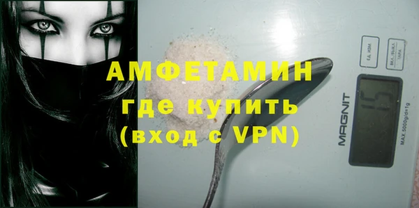 крисы Богородицк
