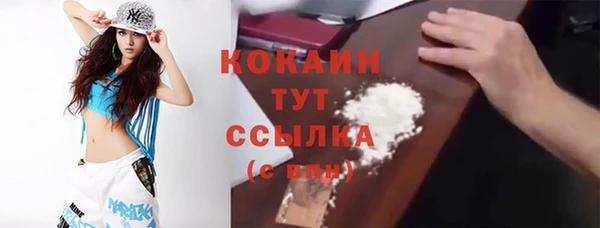 крисы Богородицк