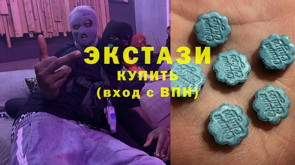 крисы Богородицк
