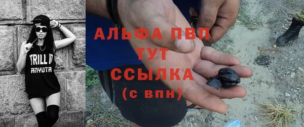 стаф Бугульма