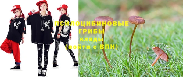 гашик Покачи