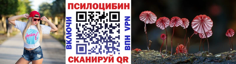Купить где  Усть-Джегута  Псилоцибиновые грибы Cubensis 